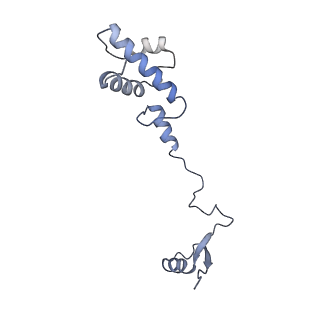 17004_8oo0_SR_v1-0
Chaetomium thermophilum Methionine Aminopeptidase 2 autoproteolysis product at the 80S ribosome