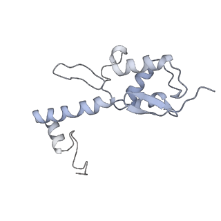 17004_8oo0_SS_v1-0
Chaetomium thermophilum Methionine Aminopeptidase 2 autoproteolysis product at the 80S ribosome