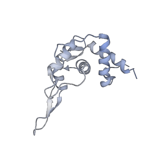 17004_8oo0_ST_v1-0
Chaetomium thermophilum Methionine Aminopeptidase 2 autoproteolysis product at the 80S ribosome