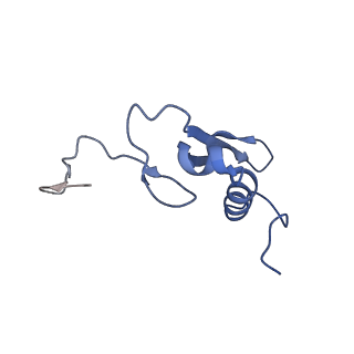 17004_8oo0_SV_v1-0
Chaetomium thermophilum Methionine Aminopeptidase 2 autoproteolysis product at the 80S ribosome