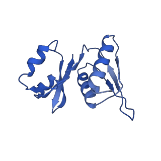 17004_8oo0_SW_v1-0
Chaetomium thermophilum Methionine Aminopeptidase 2 autoproteolysis product at the 80S ribosome