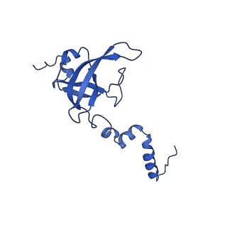 17004_8oo0_SX_v1-0
Chaetomium thermophilum Methionine Aminopeptidase 2 autoproteolysis product at the 80S ribosome