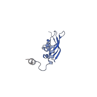 17004_8oo0_SY_v1-0
Chaetomium thermophilum Methionine Aminopeptidase 2 autoproteolysis product at the 80S ribosome