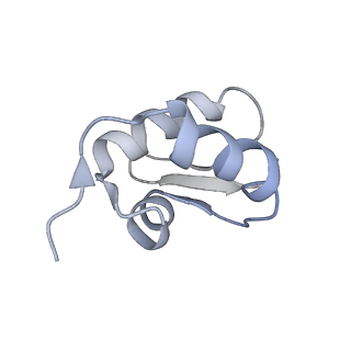 17004_8oo0_SZ_v1-0
Chaetomium thermophilum Methionine Aminopeptidase 2 autoproteolysis product at the 80S ribosome