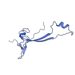 17004_8oo0_Sa_v1-0
Chaetomium thermophilum Methionine Aminopeptidase 2 autoproteolysis product at the 80S ribosome