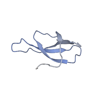 17004_8oo0_Sc_v1-0
Chaetomium thermophilum Methionine Aminopeptidase 2 autoproteolysis product at the 80S ribosome