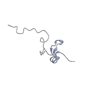 17004_8oo0_Sd_v1-0
Chaetomium thermophilum Methionine Aminopeptidase 2 autoproteolysis product at the 80S ribosome