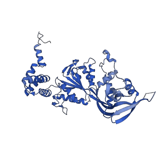 17006_8oo7_B_v1-1
CryoEM Structure INO80core Hexasome complex composite model state1