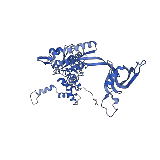 17006_8oo7_C_v1-1
CryoEM Structure INO80core Hexasome complex composite model state1