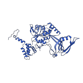 17006_8oo7_F_v1-1
CryoEM Structure INO80core Hexasome complex composite model state1
