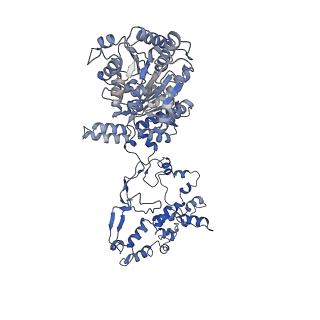 17006_8oo7_G_v1-1
CryoEM Structure INO80core Hexasome complex composite model state1