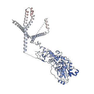 17006_8oo7_J_v1-1
CryoEM Structure INO80core Hexasome complex composite model state1