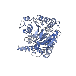 17007_8oo9_G_v1-1
CryoEM Structure INO80core Hexasome complex ATPase-DNA refinement state1