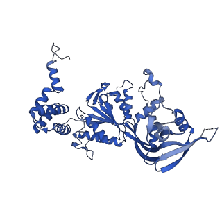 17010_8ooc_B_v1-0
CryoEM Structure INO80core Hexasome complex Rvb core refinement state1