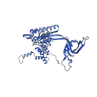 17010_8ooc_C_v1-0
CryoEM Structure INO80core Hexasome complex Rvb core refinement state1