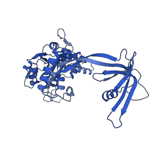 17010_8ooc_D_v1-0
CryoEM Structure INO80core Hexasome complex Rvb core refinement state1