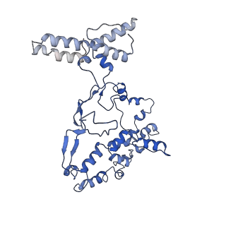 17010_8ooc_G_v1-0
CryoEM Structure INO80core Hexasome complex Rvb core refinement state1