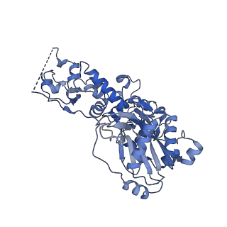 17010_8ooc_J_v1-0
CryoEM Structure INO80core Hexasome complex Rvb core refinement state1