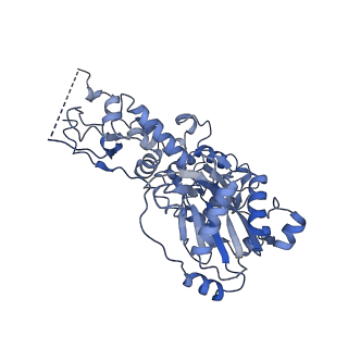17012_8oof_J_v1-1
CryoEM Structure INO80core Hexasome complex Arp5 Ies6 refinement state1