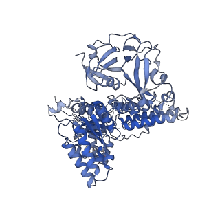 17016_8ooi_A_v1-0
Full composite cryo-EM map of p97/VCP in ADP.Pi state