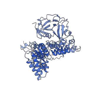 17016_8ooi_A_v1-2
Full composite cryo-EM map of p97/VCP in ADP.Pi state