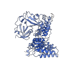 17016_8ooi_B_v1-0
Full composite cryo-EM map of p97/VCP in ADP.Pi state