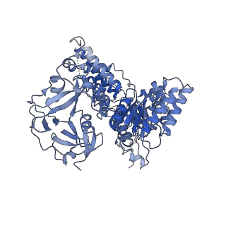 17016_8ooi_C_v1-0
Full composite cryo-EM map of p97/VCP in ADP.Pi state