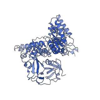 17016_8ooi_D_v1-0
Full composite cryo-EM map of p97/VCP in ADP.Pi state