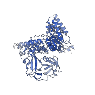 17016_8ooi_D_v1-2
Full composite cryo-EM map of p97/VCP in ADP.Pi state