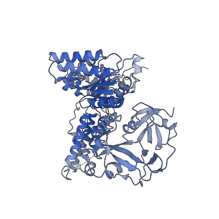 17016_8ooi_E_v1-0
Full composite cryo-EM map of p97/VCP in ADP.Pi state