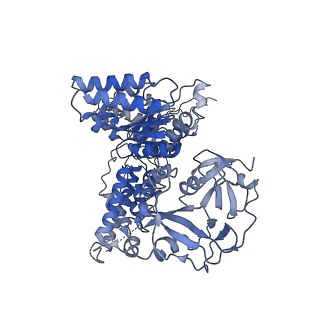 17016_8ooi_E_v1-2
Full composite cryo-EM map of p97/VCP in ADP.Pi state