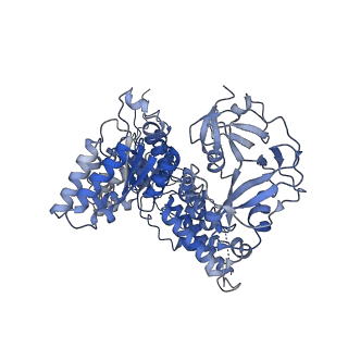 17016_8ooi_F_v1-0
Full composite cryo-EM map of p97/VCP in ADP.Pi state