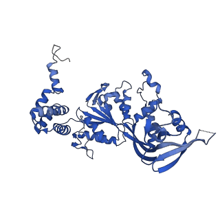 17025_8oop_B_v1-1
CryoEM Structure INO80core Hexasome complex composite model state2