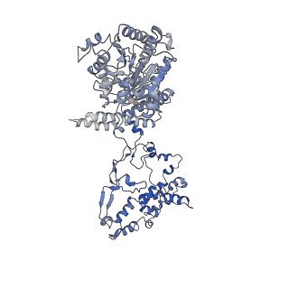 17025_8oop_G_v1-1
CryoEM Structure INO80core Hexasome complex composite model state2