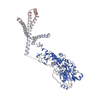 17025_8oop_J_v1-1
CryoEM Structure INO80core Hexasome complex composite model state2