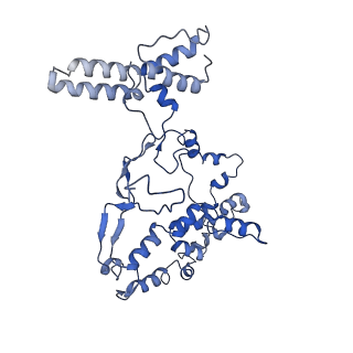 17026_8oor_G_v1-1
CryoEM Structure INO80core Hexasome complex Rvb core refinement state2