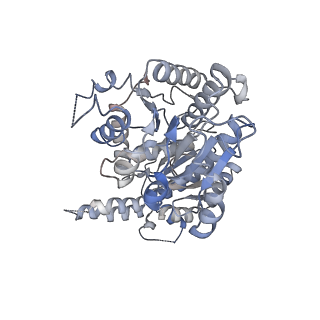 17027_8oos_G_v1-1
CryoEM Structure INO80core Hexasome complex ATPase-hexasome refinement state 2