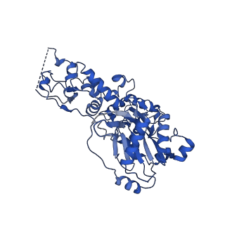 17028_8oot_J_v1-1
CryoEM Structure INO80core Hexasome complex Arp5 Ies6 refinement state2
