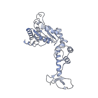 20142_6oo2_A_v1-1
Vps4 with Cyclic Peptide Bound in the Central Pore