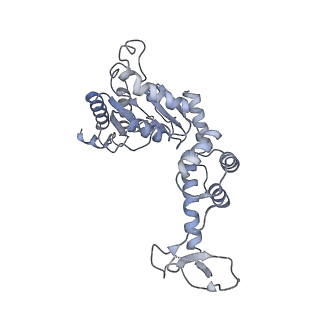 20142_6oo2_A_v1-2
Vps4 with Cyclic Peptide Bound in the Central Pore