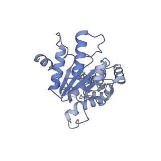 20142_6oo2_C_v1-1
Vps4 with Cyclic Peptide Bound in the Central Pore