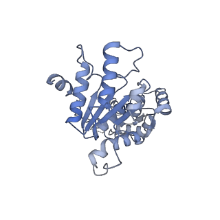 20142_6oo2_C_v1-2
Vps4 with Cyclic Peptide Bound in the Central Pore