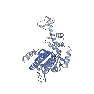 20142_6oo2_D_v1-1
Vps4 with Cyclic Peptide Bound in the Central Pore