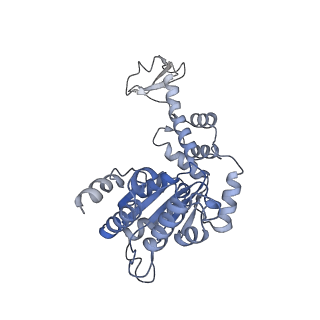 20142_6oo2_D_v1-2
Vps4 with Cyclic Peptide Bound in the Central Pore