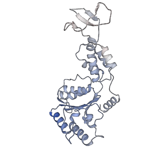 20142_6oo2_E_v1-1
Vps4 with Cyclic Peptide Bound in the Central Pore