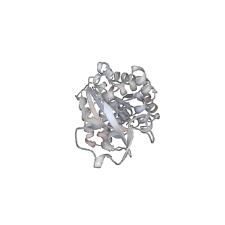 20142_6oo2_F_v1-1
Vps4 with Cyclic Peptide Bound in the Central Pore