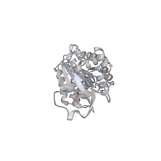 20142_6oo2_F_v1-2
Vps4 with Cyclic Peptide Bound in the Central Pore