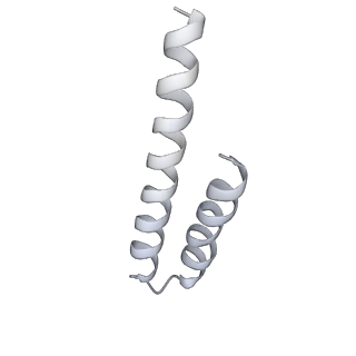 20142_6oo2_I_v1-2
Vps4 with Cyclic Peptide Bound in the Central Pore