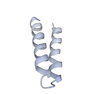 20142_6oo2_L_v1-2
Vps4 with Cyclic Peptide Bound in the Central Pore