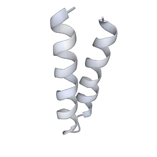 20142_6oo2_N_v1-2
Vps4 with Cyclic Peptide Bound in the Central Pore